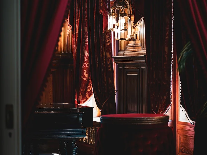 A dark burgundy BDSM lounge
